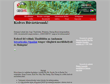 Tablet Screenshot of crocodive.net